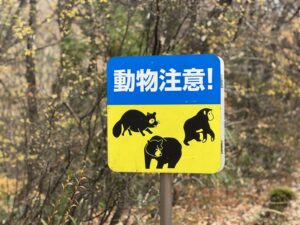 Warnschild mit Bärenmotiv in Sendai, Japan (Symbolbild)