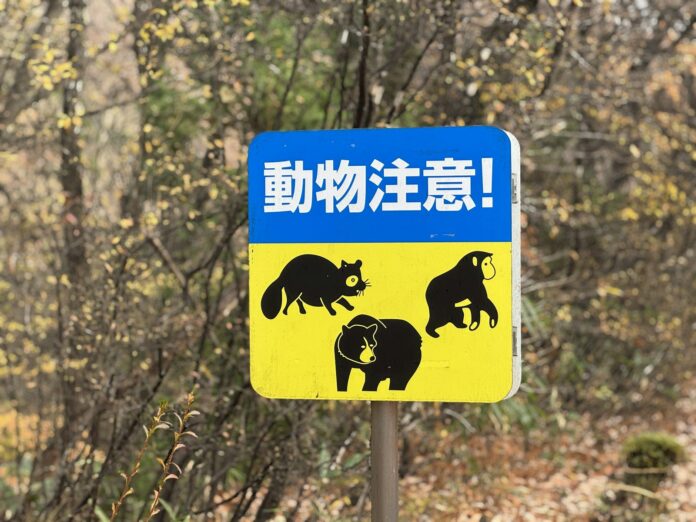 Warnschild mit Bärenmotiv in Sendai, Japan (Symbolbild)